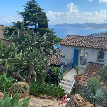 Sur Les Hauteurs De St Clair * Le Lavandou